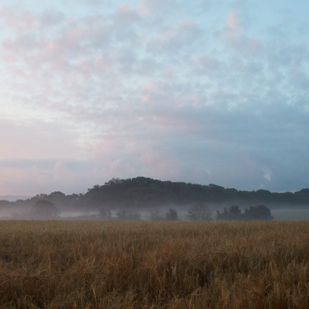 Wiston landscape at dawn