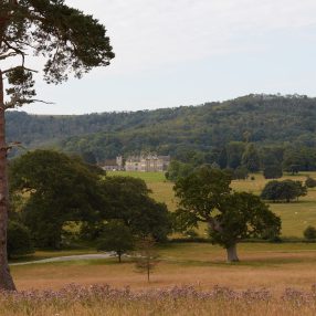 Wiston Estate